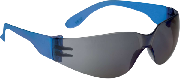 Gafas Brava2 azul