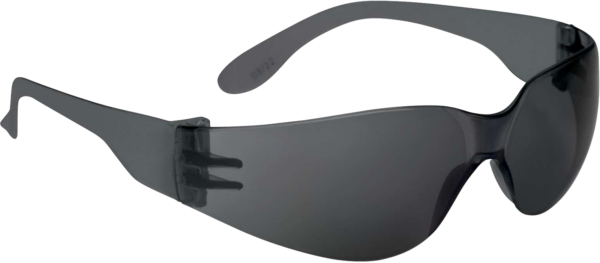 Gafas Brava2 negro