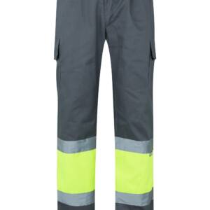 Pantalón Bicolor gris