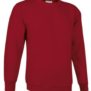 sudadera dublin rojo loto