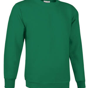 sudadera dublin verde kelly