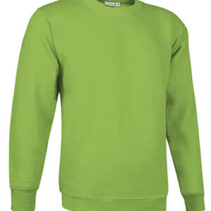 sudadera dublin verde manzana