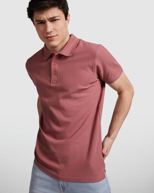 polo star roly