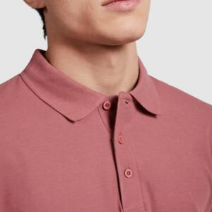 polo star roly