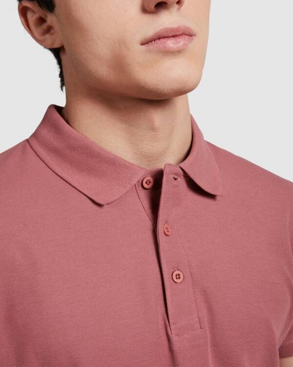 polo star roly